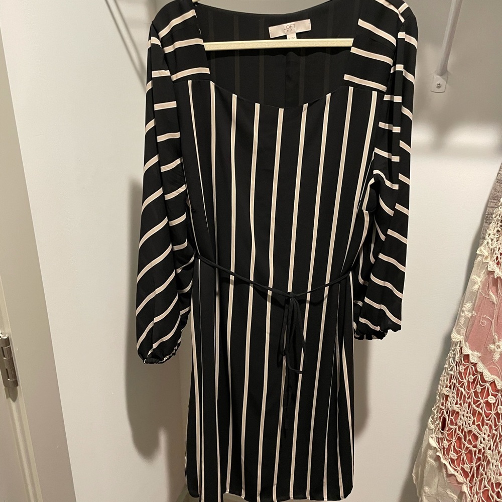 Loft Plus Dress